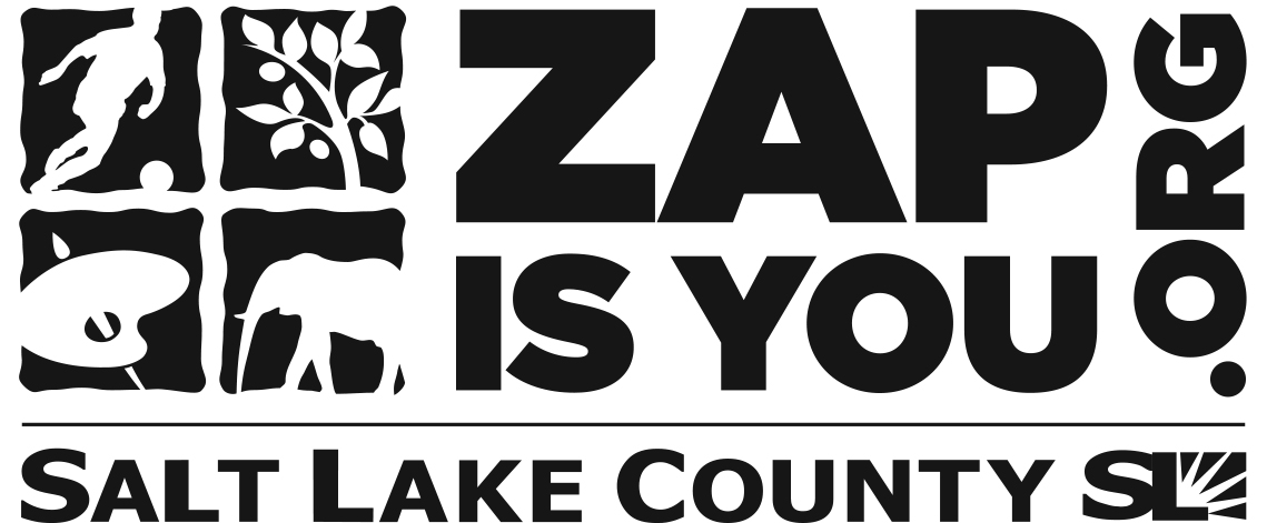 ZAP Logo
